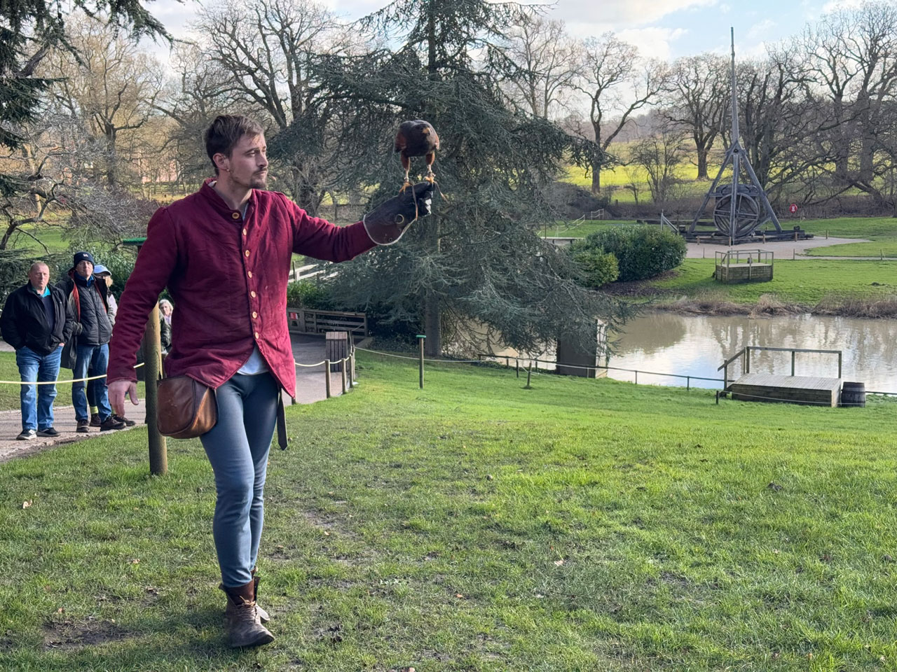 warwick castle birds of prey 2